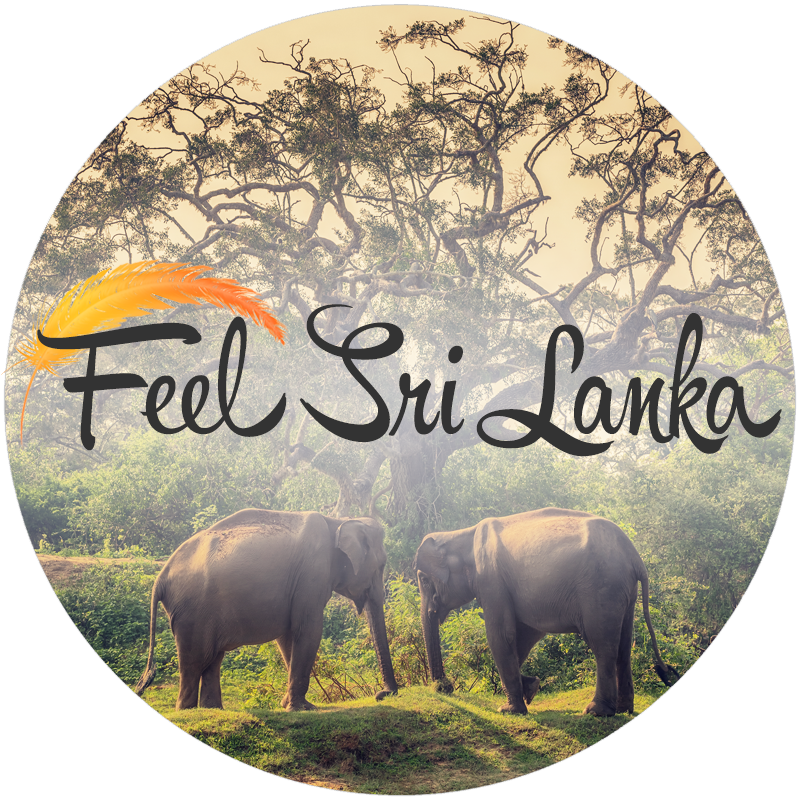 Feel Sri Lanka von Feel the World Travel